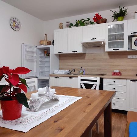 Apartman Pod Bozim Darem Jachymov Exterior photo